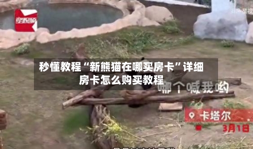 秒懂教程“新熊猫在哪买房卡”详细房卡怎么购买教程