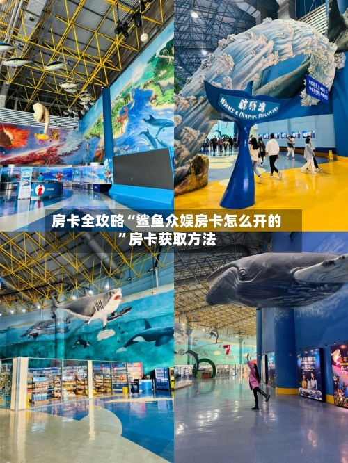 房卡全攻略“鲨鱼众娱房卡怎么开的”房卡获取方法-第2张图片