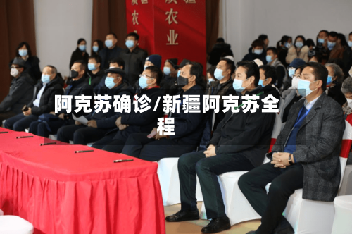 阿克苏确诊/新疆阿克苏全程-第3张图片