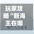 玩家攻略“新海王在哪买房卡”房卡获取方式-第3张图片