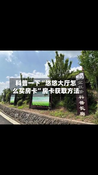 科普一下“悠悠大厅怎么买房卡	”房卡获取方法-第2张图片