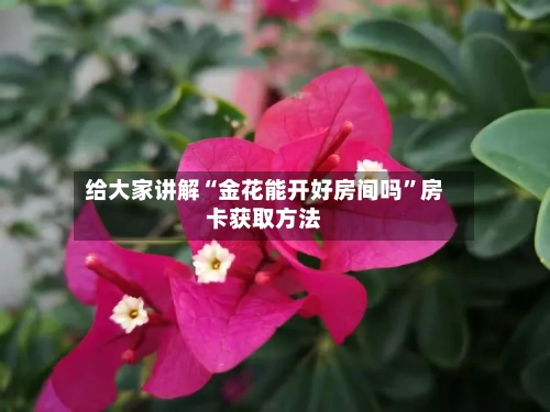 给大家讲解“金花能开好房间吗”房卡获取方法
