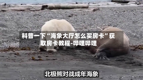 科普一下“海象大厅怎么买房卡”获取房卡教程-哔哩哔哩