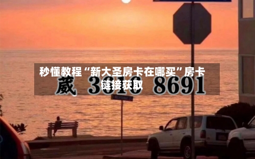 秒懂教程“新大圣房卡在哪买”房卡链接获取-第2张图片