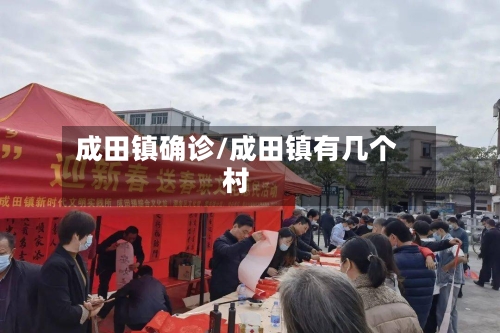 成田镇确诊/成田镇有几个村-第2张图片