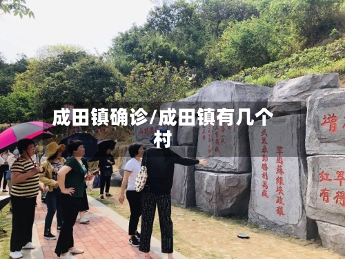 成田镇确诊/成田镇有几个村