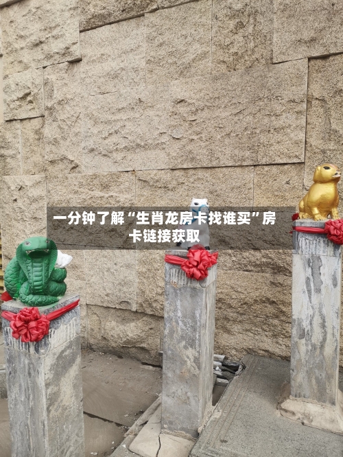 一分钟了解“生肖龙房卡找谁买”房卡链接获取-第2张图片