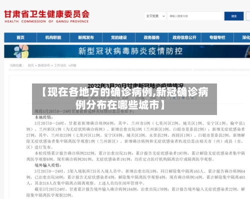 【现在各地方的确诊病例,新冠确诊病例分布在哪些城市】-第2张图片