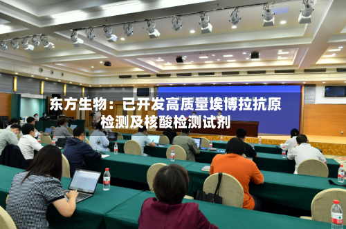 东方生物:已开发高质量埃博拉抗原检测及核酸检测试剂-第2张图片