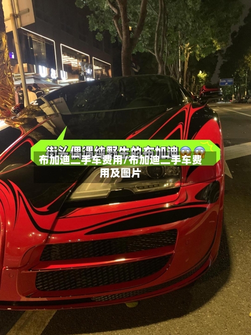 布加迪二手车费用/布加迪二手车费用及图片-第3张图片