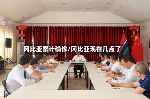 冈比亚累计确诊/冈比亚现在几点了