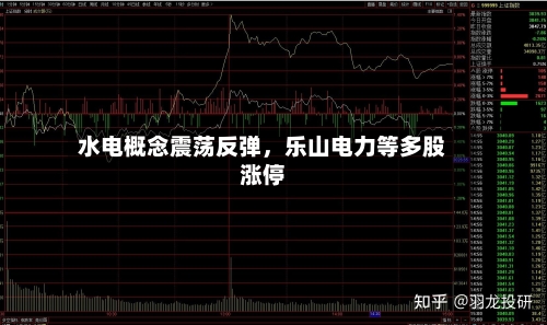 水电概念震荡反弹,乐山电力等多股涨停