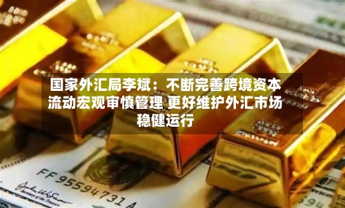 国家外汇局李斌：不断完善跨境资本流动宏观审慎管理 更好维护外汇市场稳健运行-第2张图片
