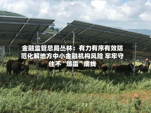金融监管总局丛林：有力有序有效防范化解地方中小金融机构风险 牢牢守住不“爆雷”底线-第2张图片