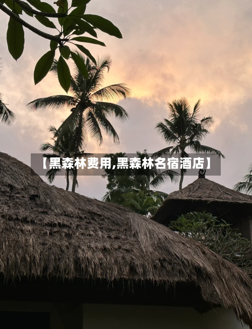 【黑森林费用,黑森林名宿酒店】-第3张图片
