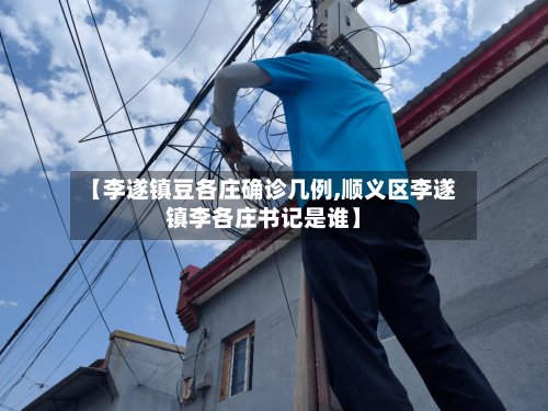 【李遂镇豆各庄确诊几例,顺义区李遂镇李各庄书记是谁】-第3张图片