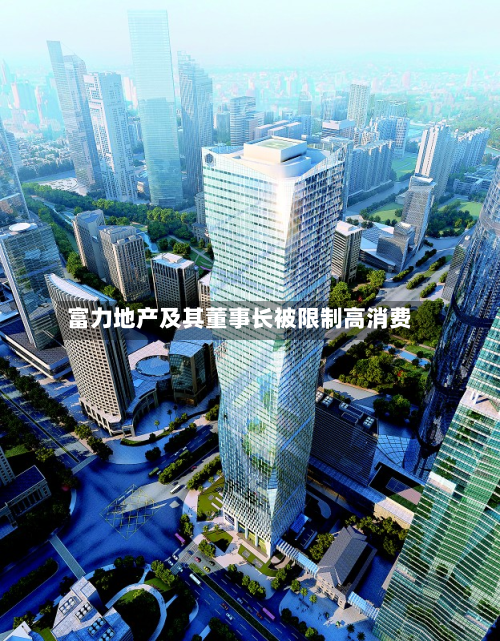 富力地产及其董事长被限制高消费