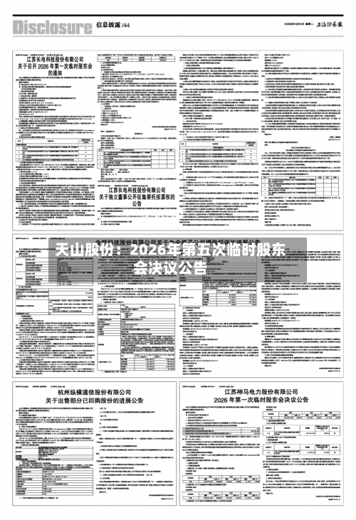 天山股份:2026年第五次临时股东会决议公告