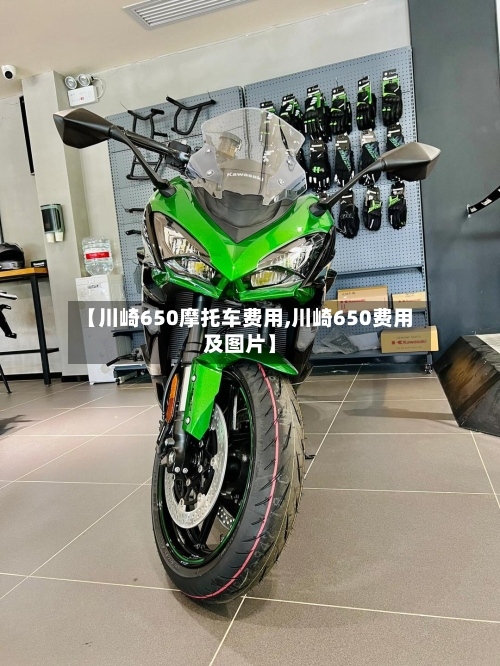 【川崎650摩托车费用,川崎650费用及图片】-第2张图片