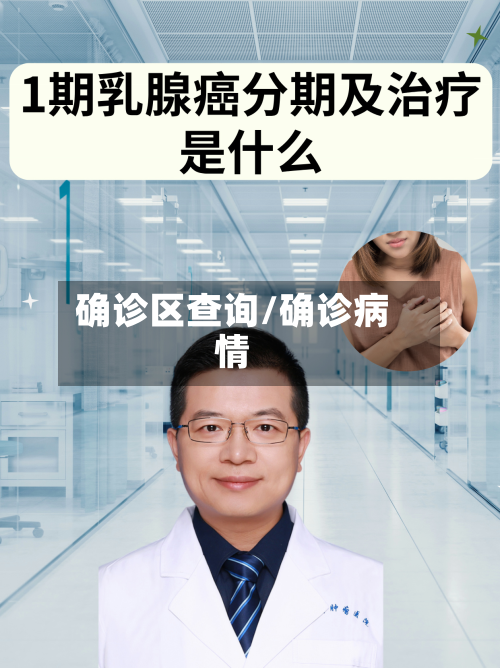 确诊区查询/确诊病情
