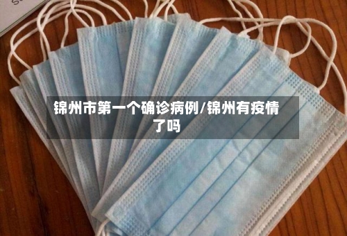 锦州市第一个确诊病例/锦州有疫情了吗-第2张图片