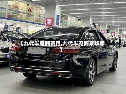 【九代半雅阁费用,九代半雅阁豪华版】-第2张图片