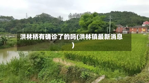 洪林桥有确诊了的吗(洪林镇最新消息)-第3张图片