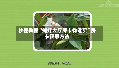 秒懂教程“蝴蝶大厅房卡找谁买”房卡获取方法