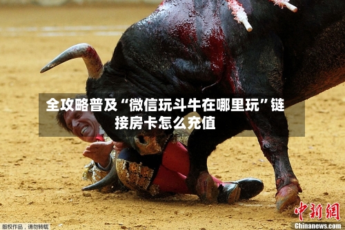 全攻略普及“微信玩斗牛在哪里玩”链接房卡怎么充值-第2张图片