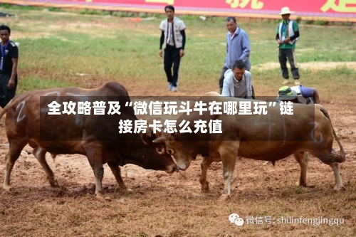 全攻略普及“微信玩斗牛在哪里玩”链接房卡怎么充值-第3张图片