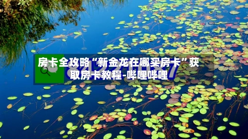 房卡全攻略“新金龙在哪买房卡”获取房卡教程-哔哩哔哩-第2张图片