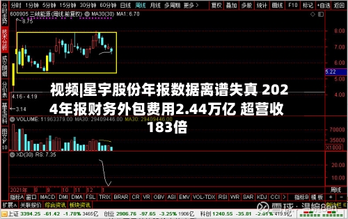 视频|星宇股份年报数据离谱失真 2024年报财务外包费用2.44万亿 超营收183倍