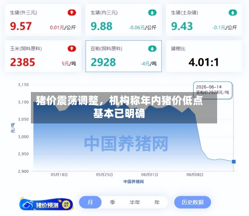 猪价震荡调整	，机构称年内猪价低点基本已明确-第2张图片