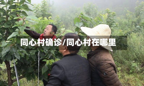 同心村确诊/同心村在哪里