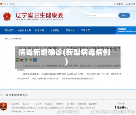 病毒新增确诊(新型病毒病例)-第2张图片