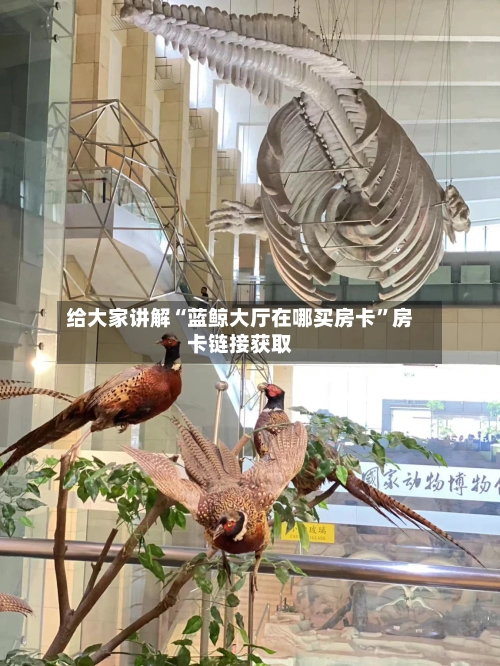 给大家讲解“蓝鲸大厅在哪买房卡	”房卡链接获取-第2张图片