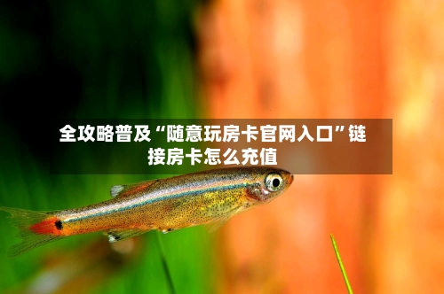 全攻略普及“随意玩房卡官网入口”链接房卡怎么充值-第3张图片