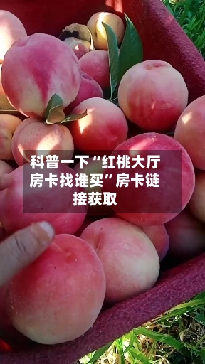 科普一下“红桃大厅房卡找谁买”房卡链接获取-第2张图片