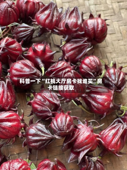 科普一下“红桃大厅房卡找谁买”房卡链接获取