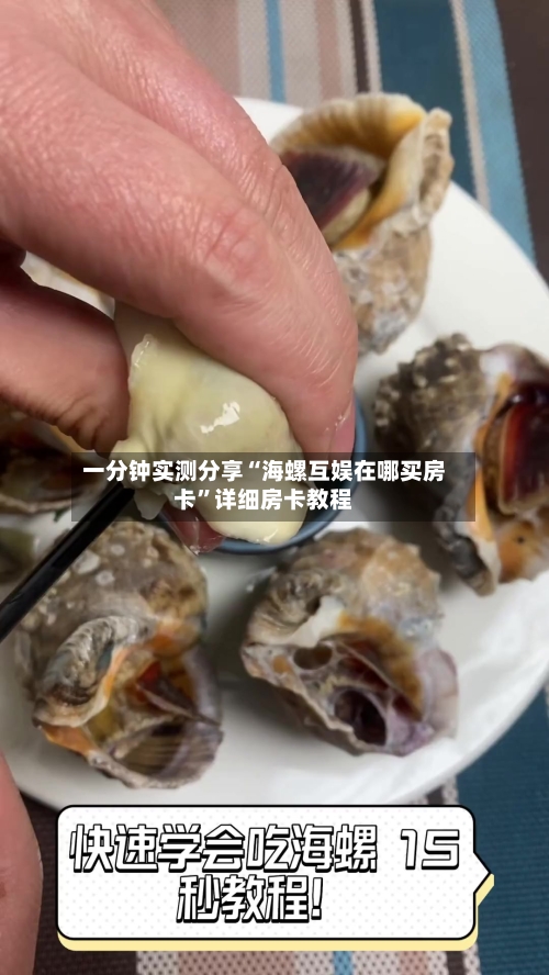 一分钟实测分享“海螺互娱在哪买房卡”详细房卡教程-第2张图片