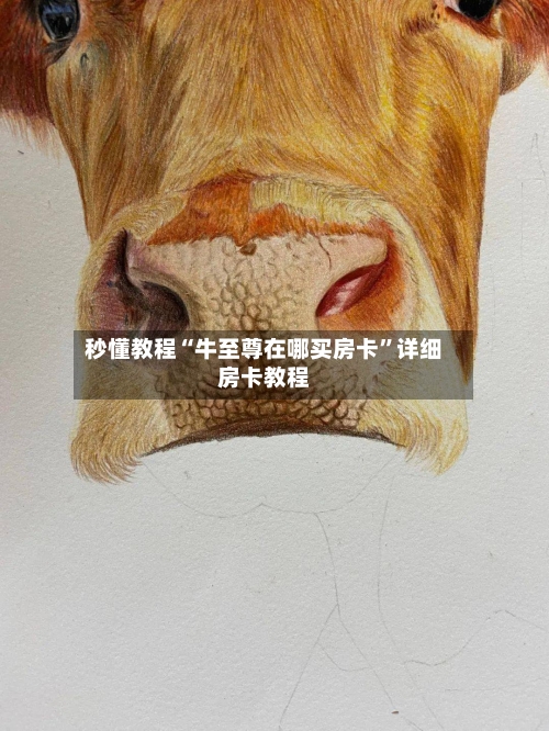 秒懂教程“牛至尊在哪买房卡	”详细房卡教程-第3张图片
