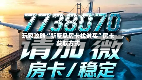 玩家攻略“新蜜瓜房卡找谁买”房卡获取方式-第3张图片