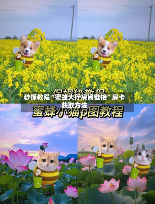 秒懂教程“蜜蜂大厅房间链接	”房卡获取方法-第2张图片