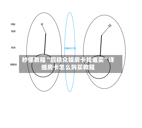 秒懂教程“超稳众娱房卡找谁买”详细房卡怎么购买教程-第2张图片