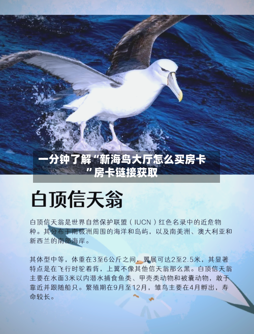 一分钟了解“新海鸟大厅怎么买房卡”房卡链接获取