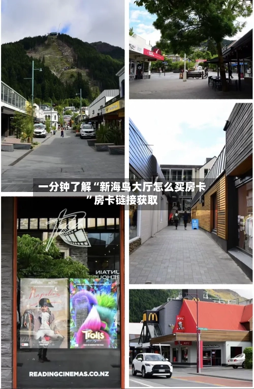 一分钟了解“新海鸟大厅怎么买房卡”房卡链接获取-第2张图片