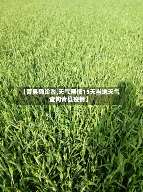 【青县确诊者,天气预报15天当地天气查询青县疫情】-第2张图片