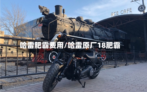 哈雷肥霸费用/哈雷原厂18肥霸