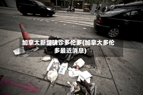 加拿大新增确诊多伦多(加拿大多伦多最近消息)-第2张图片