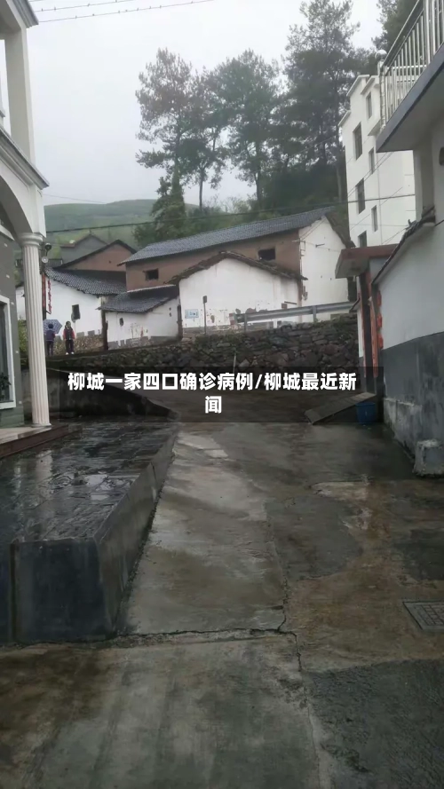 柳城一家四口确诊病例/柳城最近新闻-第2张图片